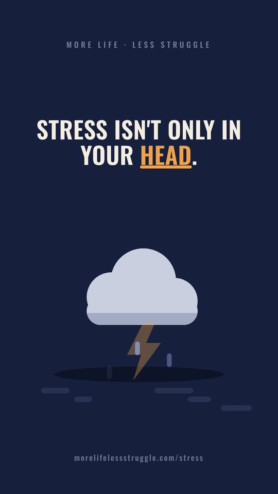 Stress and Safety video thumbnail